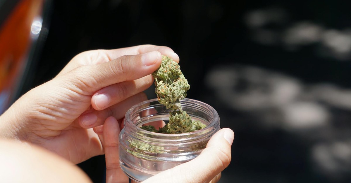 Cannabis and the Teenage Brain