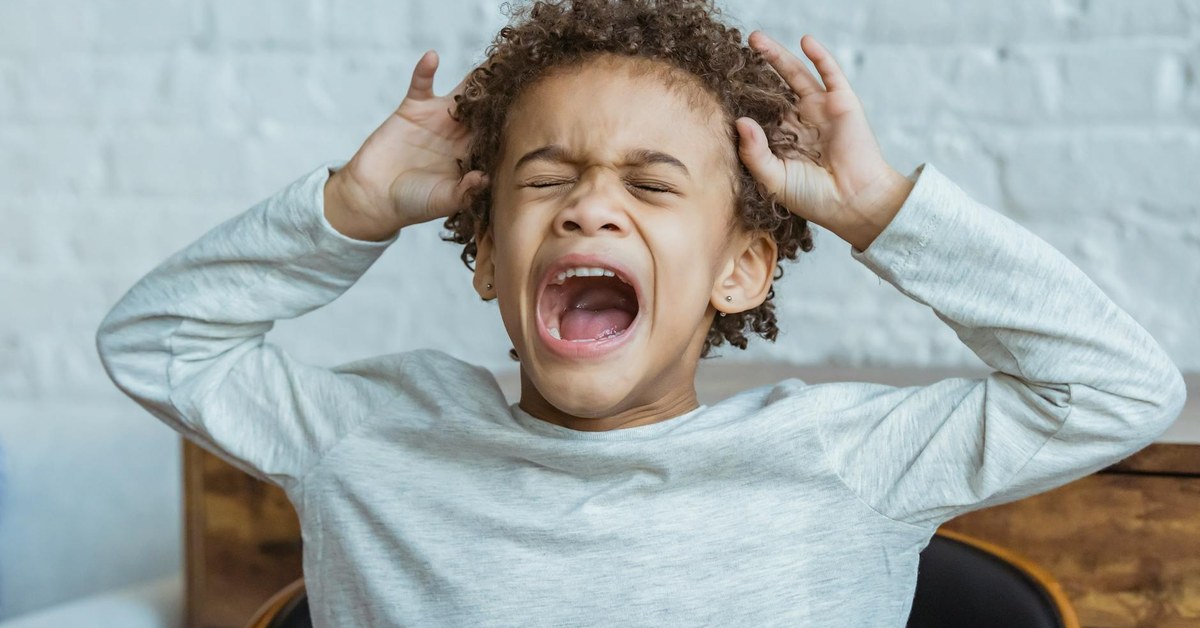 The Child's Toolkit โ Simple Emotional Regulation Techniques for Building Resilience