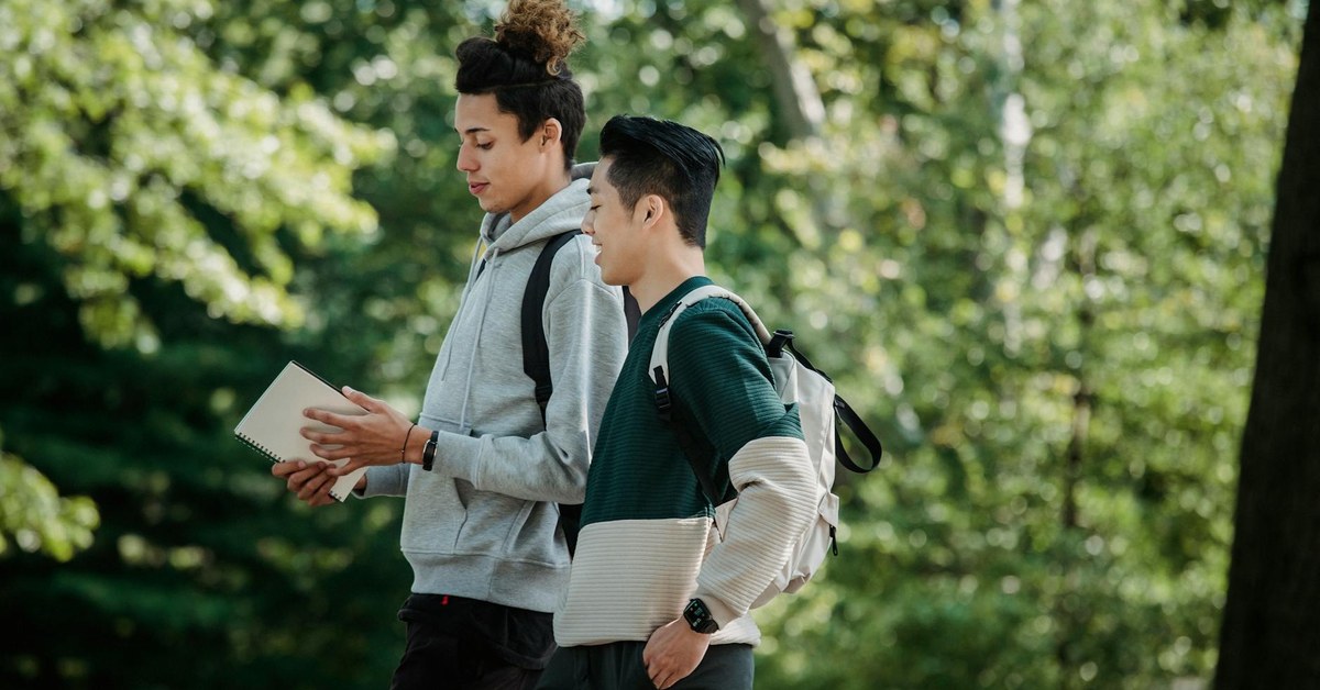 Beyond Obvious Threats โ Developing Critical Digital Literacy to Spot Sophisticated Online Grooming in Young Adults