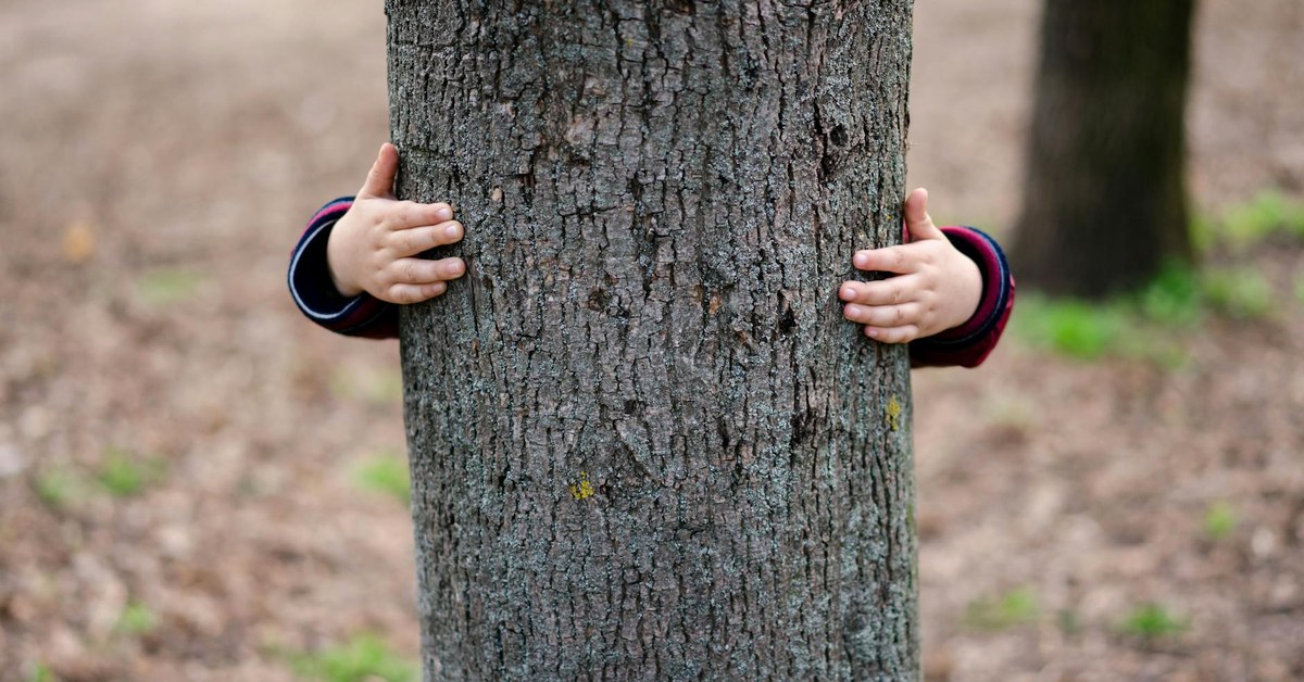 Digital Parenting โ Essential Strategies for Cyberbullying Prevention