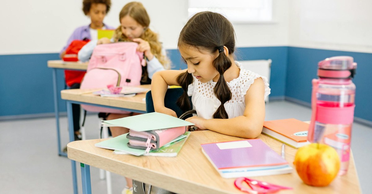 Empowering K-12 Students to Combat Misinformation โ A Proactive Digital Citizenship Curriculum Guide for Educators