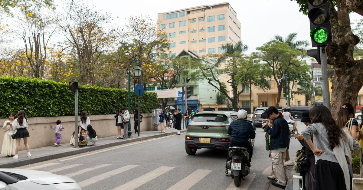 Mastering Multi-Use Paths โ Advanced Safety Strategies for Scooter and Skateboard Riders in Shared Urban Environments
