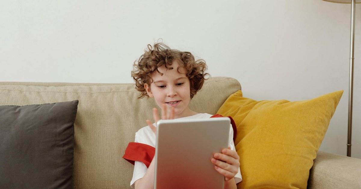Beyond Kids — Recognizing How Online Predators Exploit Adult Vulnerabilities in Niche Online Communities