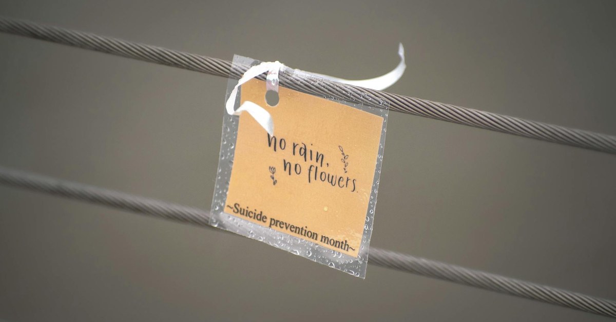 Teen Suicide Prevention — A Guide for Families on Understanding, Recognising, and Responding